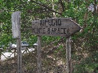 nte Baracca-20100606 128